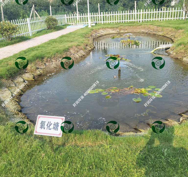 С��������