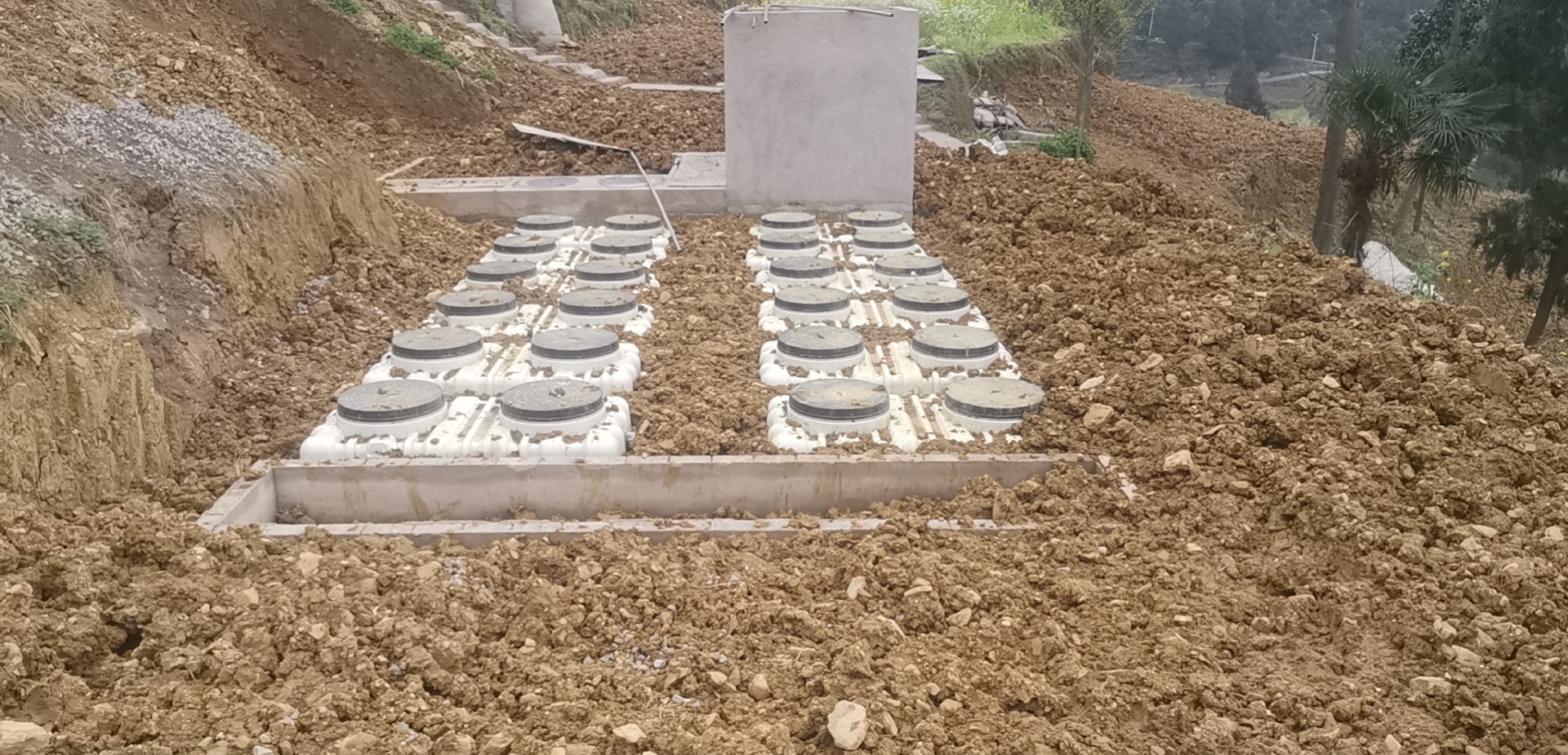 <b>pHֵ��Ӱ���ˮ����������</b>