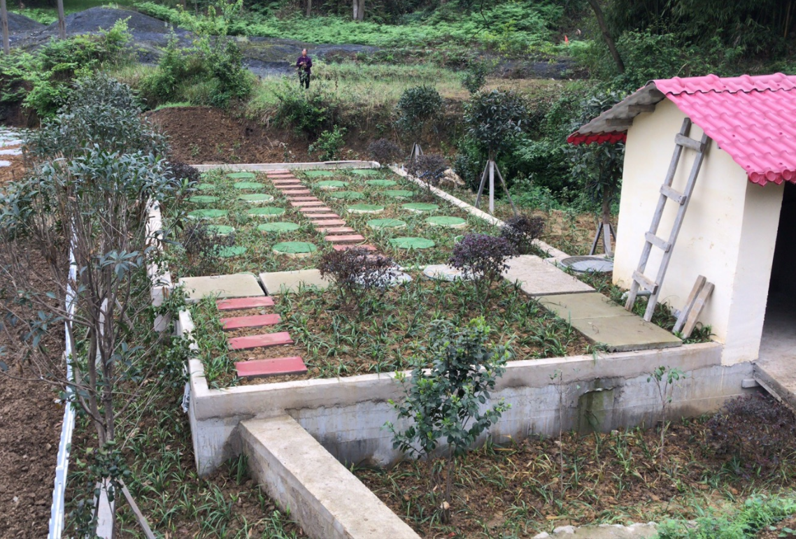 <b>����������ˮ��ô������</b>