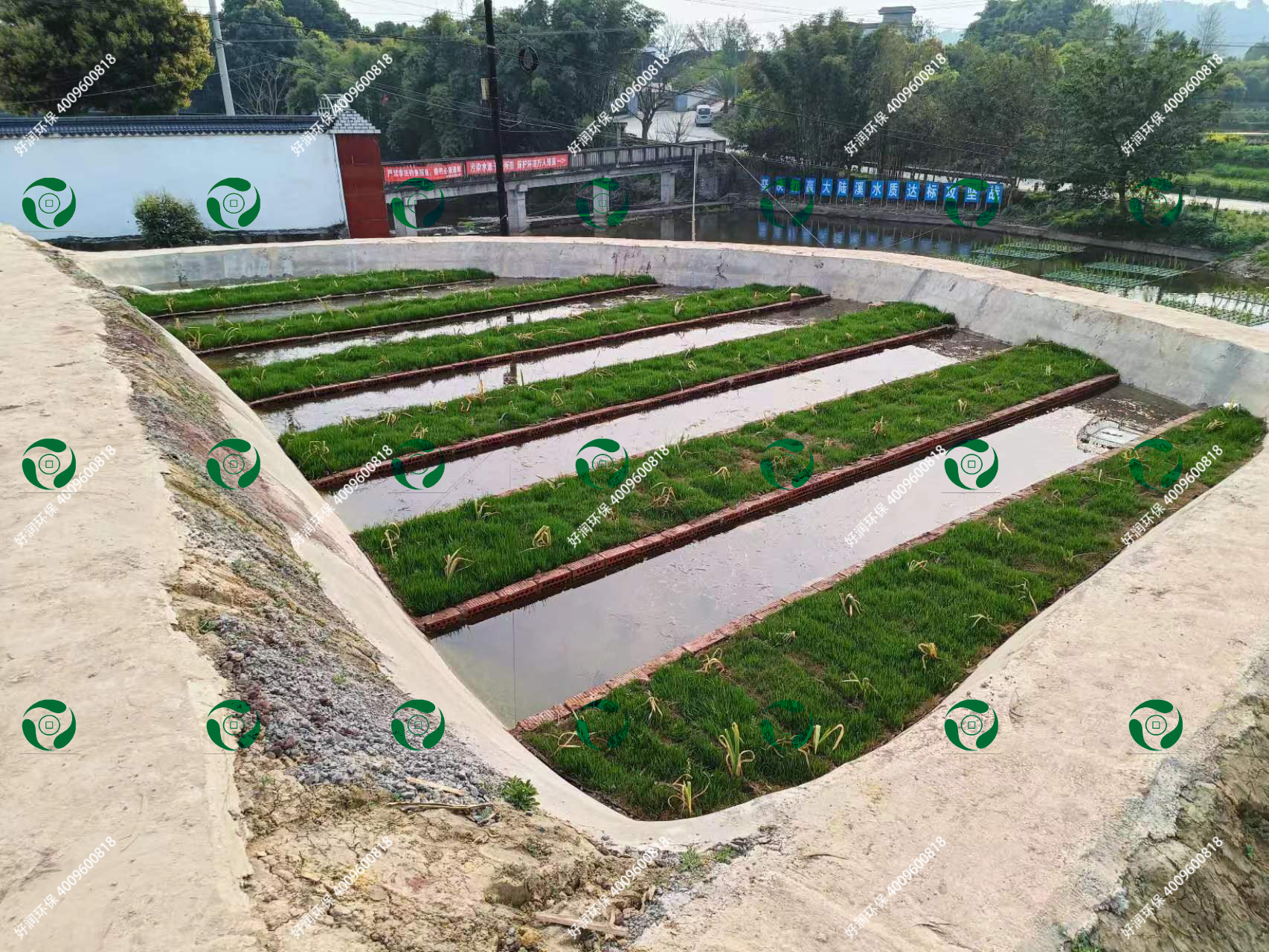 ʪ����������