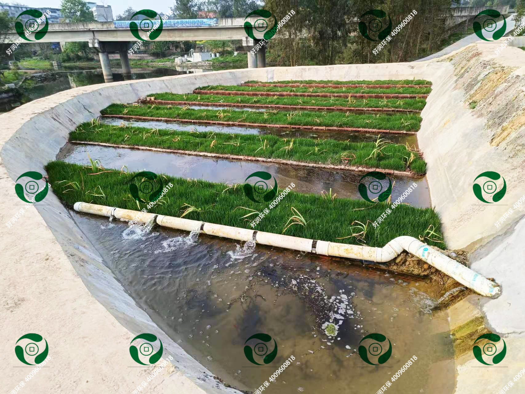 ʪ�ؾ�����